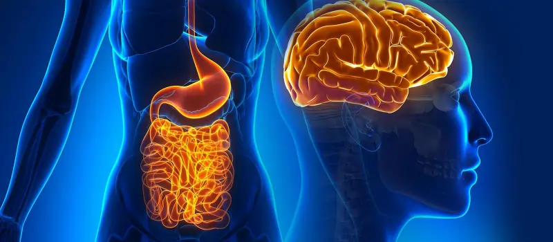Biome gut health